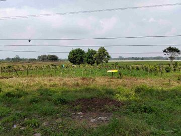 hanya 1.3jt/mtr Pagaden Subang maindorad