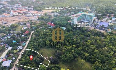1.4 Hectare Lot Near Bellemar Lifestyle Center for Sale - Panglao