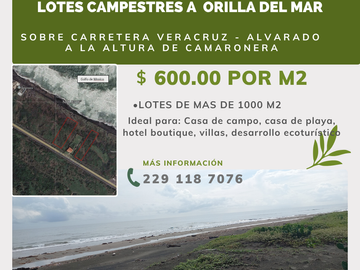 Terrenos en Venta en Camaronera, Alvarado, Veracruz