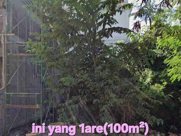 Jual tanah 1are & 1,77are PERERENAN CANGGU, jln sempol Badung Bali