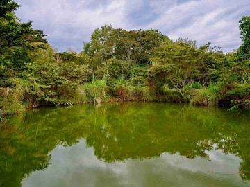 VENDO ESPECTACULAR FINCA CAMPESTRE EN FUSAGASUGÁ CEREDA EL HORIZONTE.