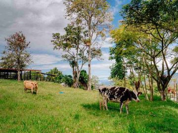 VENDO ESPECTACULAR FINCA CAMPESTRE EN FUSAGASUGÁ CEREDA EL HORIZONTE.