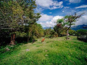 VENDO ESPECTACULAR FINCA CAMPESTRE EN FUSAGASUGÁ CEREDA EL HORIZONTE.