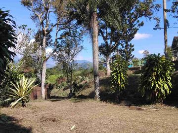 Di jual villa dan tanah kosong di bawah harga pasaran .lokasi sangat strategis dekat taman bunga nusantara ci panas.sangat cocok untuk villa keluarga dan komersial .