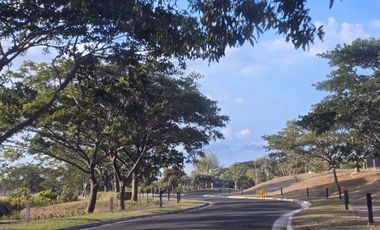 LOT FOR SALE: 740sqm Residential Lot in Dasmariñas Cavite - The Courtyards at Vermosa