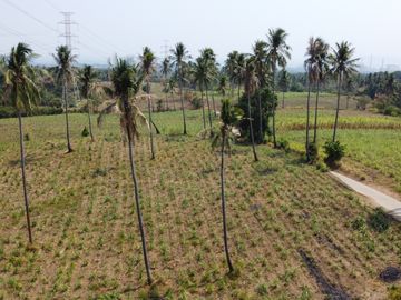 20 Hectares Agricultural Lot for Sale in Calaca Batangas | Along Cemented Road RAS