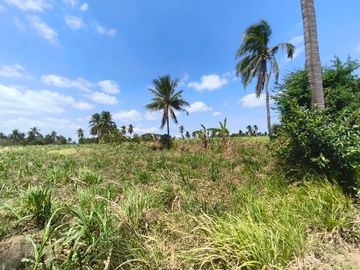 20 Hectares Agricultural Lot for Sale in Calaca Batangas | Along Cemented Road RAS