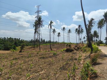 20 Hectares Agricultural Lot for Sale in Calaca Batangas | Along Cemented Road RAS