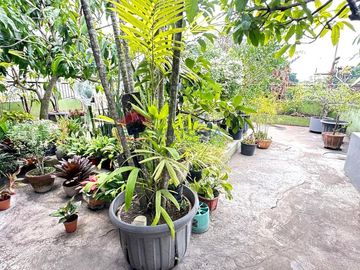 Ruko Komersial Pusat Kota Malang Dekat Alun Alun Cocok Cafe Klinik Kantor