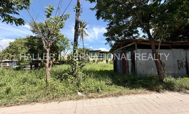 Lot for Sale in Bag ong Daan Rd, Yati | Liloan, Cebu
