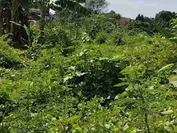 jual lahan tanah