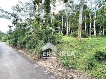 TANAH DIJUAL MURAH DEKAT PINTU TOL BOYOLALI