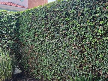 Casa en Renta en Cuajimalpa de Morelos, Cuajimalpa CMB 27-51.