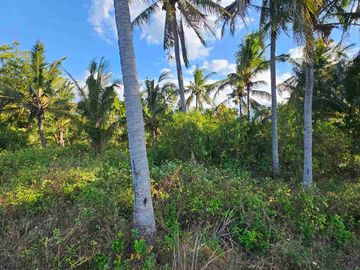 pinggir pantai dan pinggir jalan besar nasional