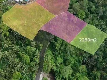PRIME LOCATION IN WOS RIVER NEAR CAPELLA RESORT UBUD