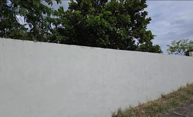 House And Lot For Sale in Avida Settings Pampanga