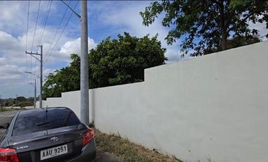 House And Lot For Sale in Avida Settings Pampanga