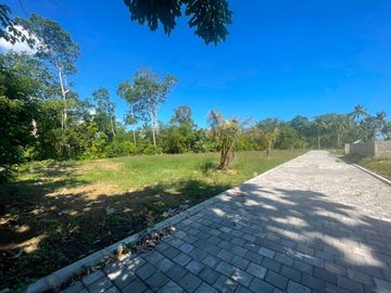 Dijual Tanah Kavling - 300 meter dari Pantai Kelecung, Tabanan.
