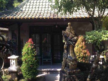 dijual tanah 6030m² bonus villa Kawasan ubud gianyar bali
