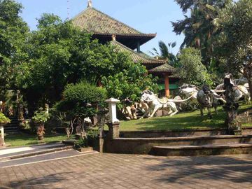 dijual tanah 6030m² bonus villa Kawasan ubud gianyar bali
