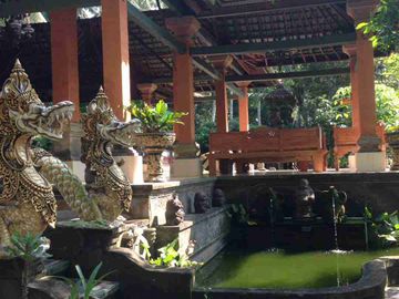 dijual tanah 6030m² bonus villa Kawasan ubud gianyar bali