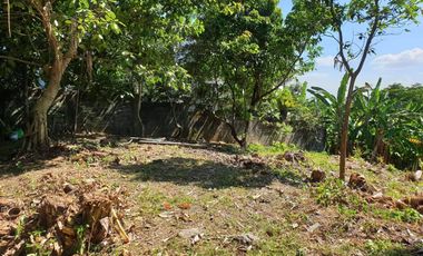 Ayala Greenfield Estate | Residential Lot For Sale - #4230