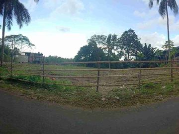 DIJUAL TANAH STRATEGIS DAERAH SINGKIL, HARGA SANGAT MURAH