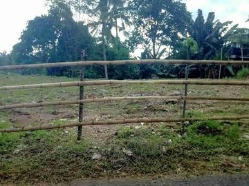 DIJUAL TANAH STRATEGIS DAERAH SINGKIL, HARGA SANGAT MURAH