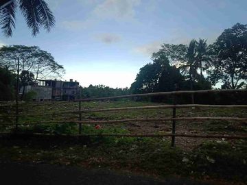 DIJUAL TANAH STRATEGIS DAERAH SINGKIL, HARGA SANGAT MURAH