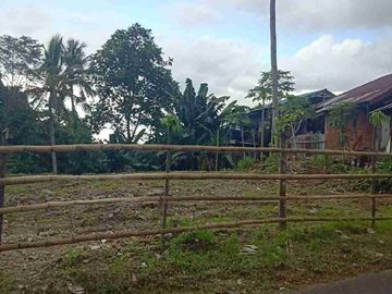 DIJUAL TANAH STRATEGIS DAERAH SINGKIL, HARGA SANGAT MURAH