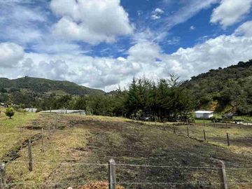 LOTE EN GUARNE ECONÓMICO 110 MILLONES