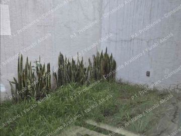 Oportunidad! bonita casa en renta en Jardines de Bellavista