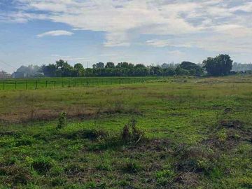 3 Hectare Farm in Sto. Nino  Magalang Pampanga
