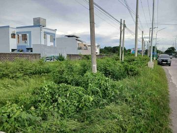 Commercial Lot for sale in Acropolis (Iloilo) 350sqm