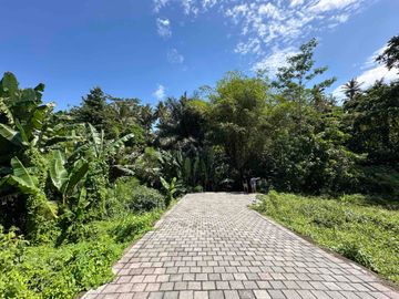 Tanah *Hook* Jungle View, dekat Kanto Lampo Waterfall dan RS Sanjiwani