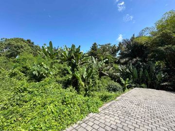 Tanah *Hook* Jungle View, dekat Kanto Lampo Waterfall dan RS Sanjiwani