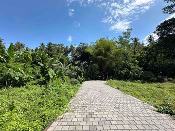 Tanah *Hook* Jungle View, dekat Kanto Lampo Waterfall dan RS Sanjiwani