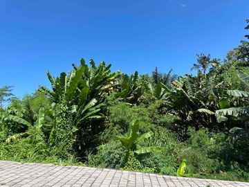 Tanah *Hook* Jungle View, dekat Kanto Lampo Waterfall dan RS Sanjiwani