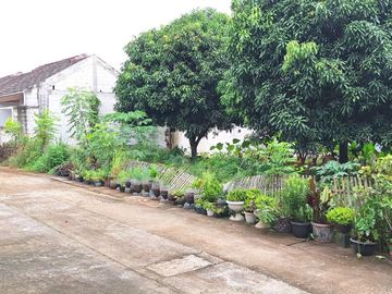 Kavling Murah Depok Dekat Terminal Pondok Cabe Free SHM
