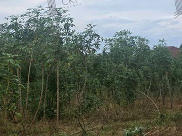 Urgent sale! Land plot of 2 ngan 95 square wa located on a public road in Sattahip. Only 850 meters from Sukhumvit Road. Ideal for building a house.