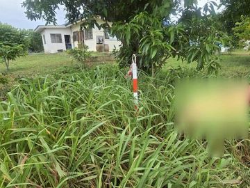 Urgent sale! Land plot of 2 ngan 95 square wa located on a public road in Sattahip. Only 850 meters from Sukhumvit Road. Ideal for building a house.
