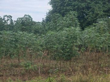 Urgent sale! Land plot of 2 ngan 95 square wa located on a public road in Sattahip. Only 850 meters from Sukhumvit Road. Ideal for building a house.