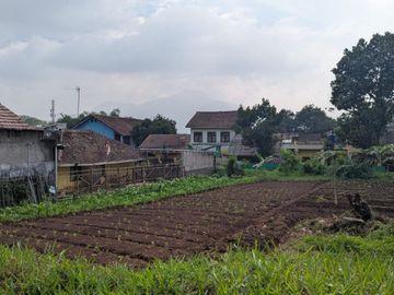 Tanah Matang Jatinangor Sumedang