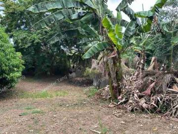Merville Lot for Sale