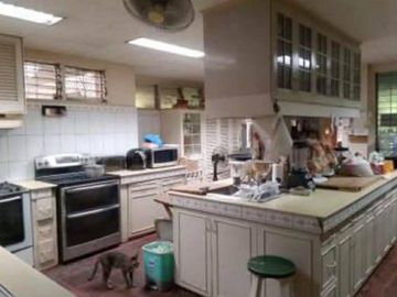 FOR SALE; PRIME COMMERCIAL PROPERTY Near Cebu Doctors' University Hospital | Capitol, Cebu City Lot Area 1,128 SQM