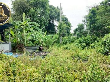 Beautiful plot of land for sale in a prime location in Sriracha, ready to build a house. Nong Kham Subdistrict, Sriracha District, Chonburi Province (