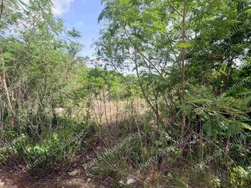 Terreno de 2,100 m² en venta en San Diego Cutz, Conkal