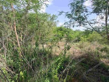 Terreno de 2,100 m² en venta en San Diego Cutz, Conkal