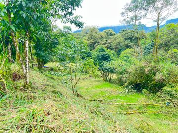 En Venta – Excelente Terreno en Mindo