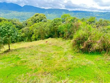En Venta – Excelente Terreno en Mindo
